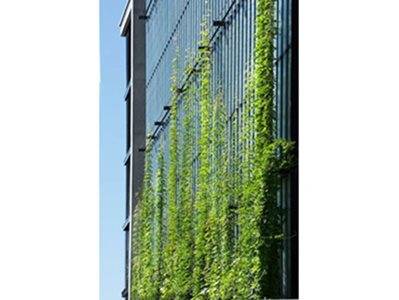 plants commercial building facade