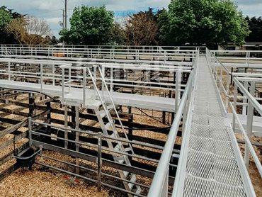 KOMBI aluminium stairs and access platforms give farmers and auctioneers easy access to view the livestock during sales