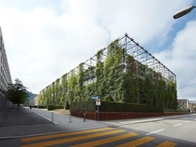large commercial structure green folliage facade