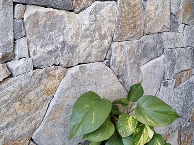 Haus Collective Natural Stone Wall Cladding