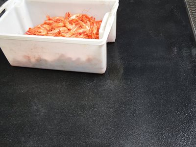 Detail of food bucket on top of food grade flooring 